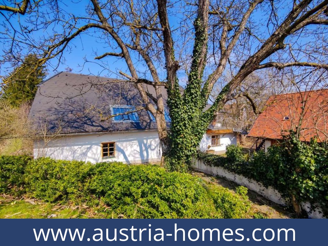 austria-homes-kirchberg an der wild-3811-20250921031746-0025901043.jpg